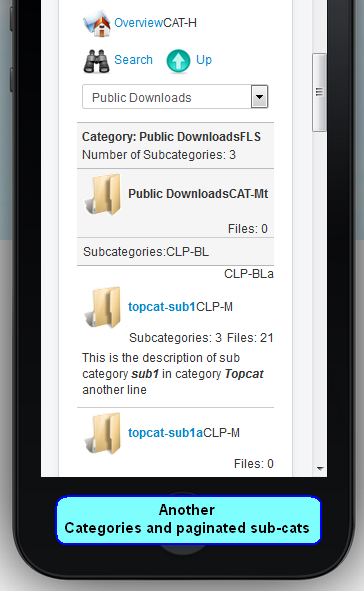 41-Category and Paginated Cats